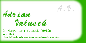 adrian valusek business card